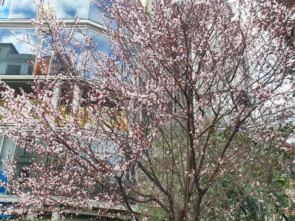 Home Rome Lepanto エクステリア 写真